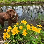 Bio-hof Lexmuehle 3*