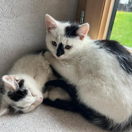 Bio-hof Lexmuehle 3*