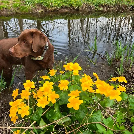 Bio-hof Lexmuehle 3*