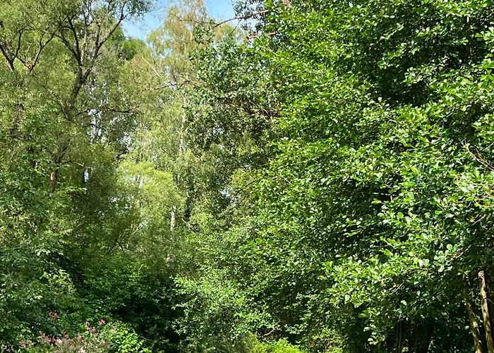 Bed & Breakfast Bio-hof Lexmuehle 3*