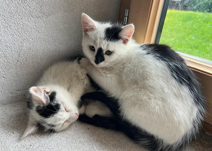 Bio-hof Lexmuehle 3*