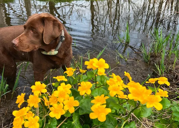 Bio-hof Lexmuehle 3*